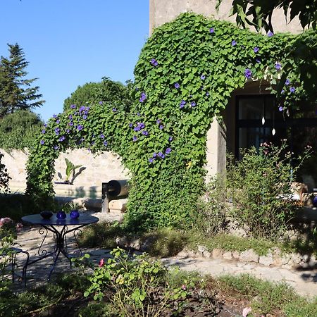 Aux Pots Bleus Bed and Breakfast Nissan-lez-Enserune Εξωτερικό φωτογραφία